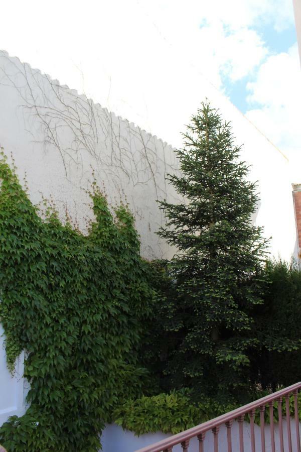 Villa Rural El Campillo de Rodalquilar 外观 照片